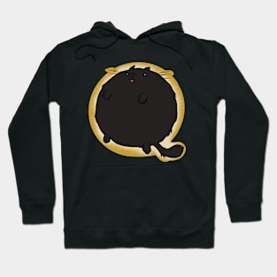 Black Sphere Cat Hoodie